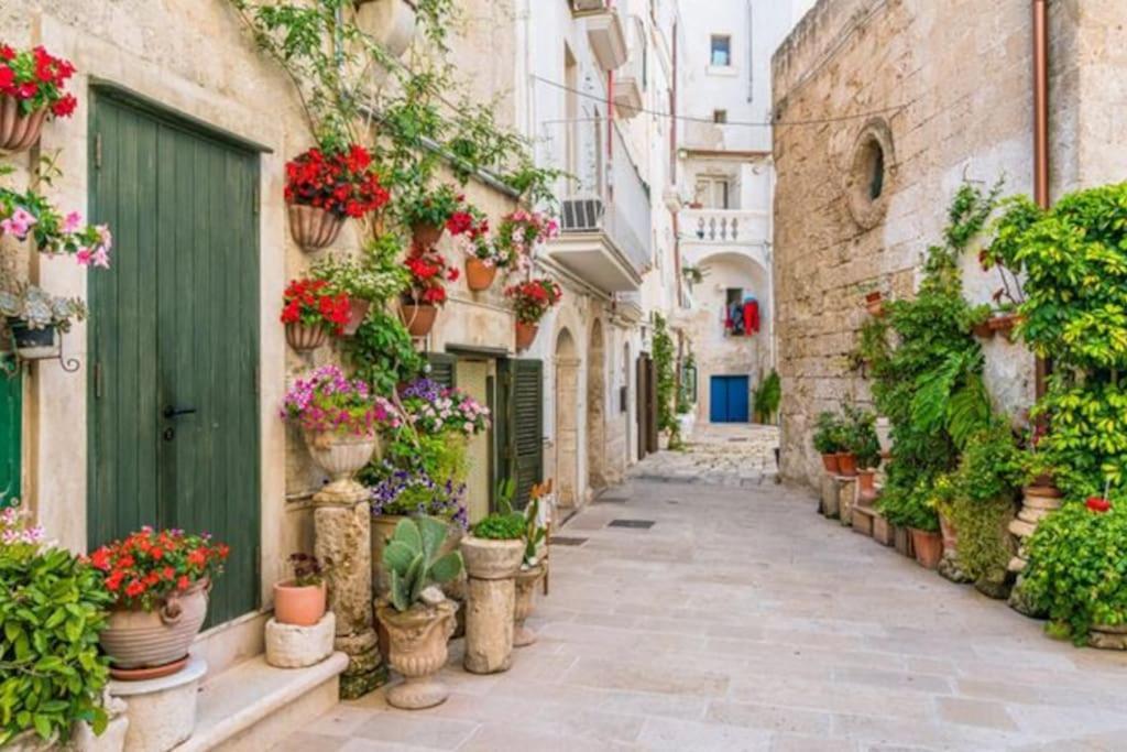 Il Mare In Citta. Appartamento Vista Mare Monopoli Exteriör bild